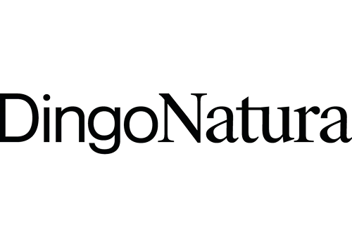 Dingonatura